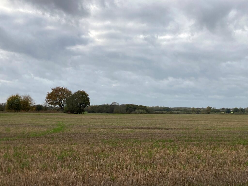 Stradbroke, Eye, Suffolk, IP21 5HL Property