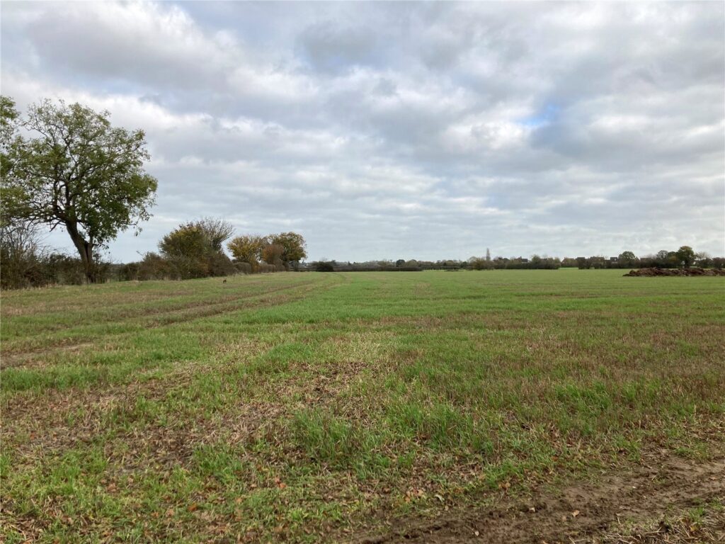 Stradbroke, Eye, Suffolk, IP21 5HL Property