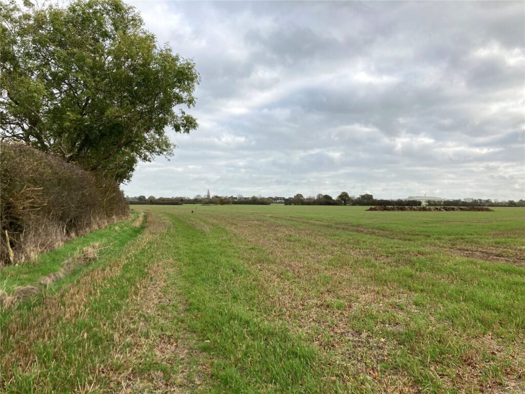 Stradbroke, Eye, Suffolk, IP21 5HL Property