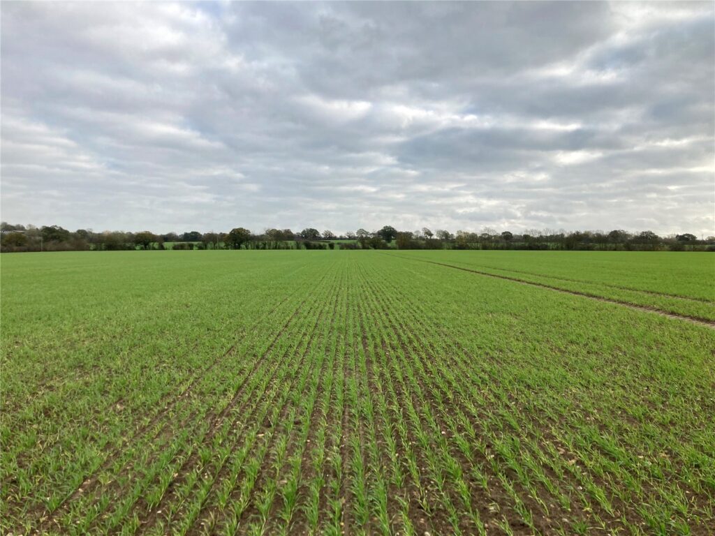 Stradbroke, Eye, Suffolk, IP21 5HL Property