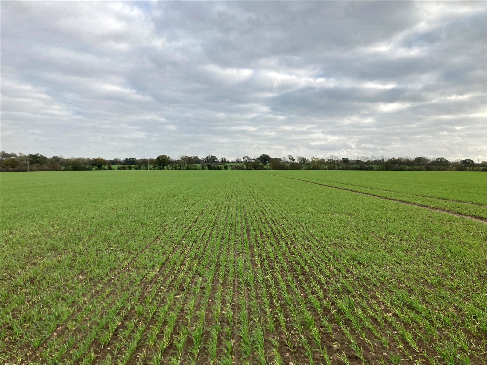 Stradbroke, Eye, Suffolk, IP21 5HL Property