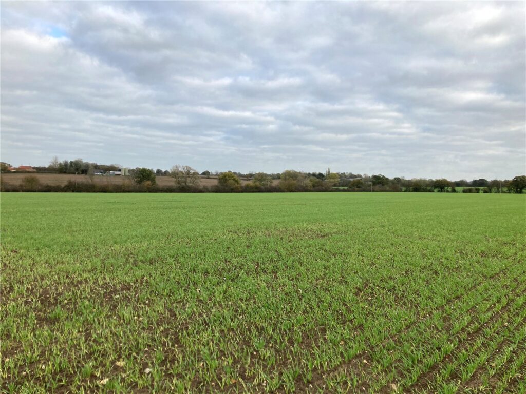 Stradbroke, Eye, Suffolk, IP21 5HL Property