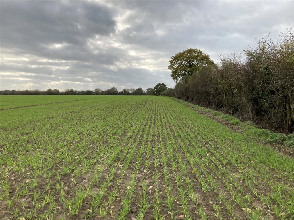 Stradbroke, Eye, Suffolk, IP21 5HL Property