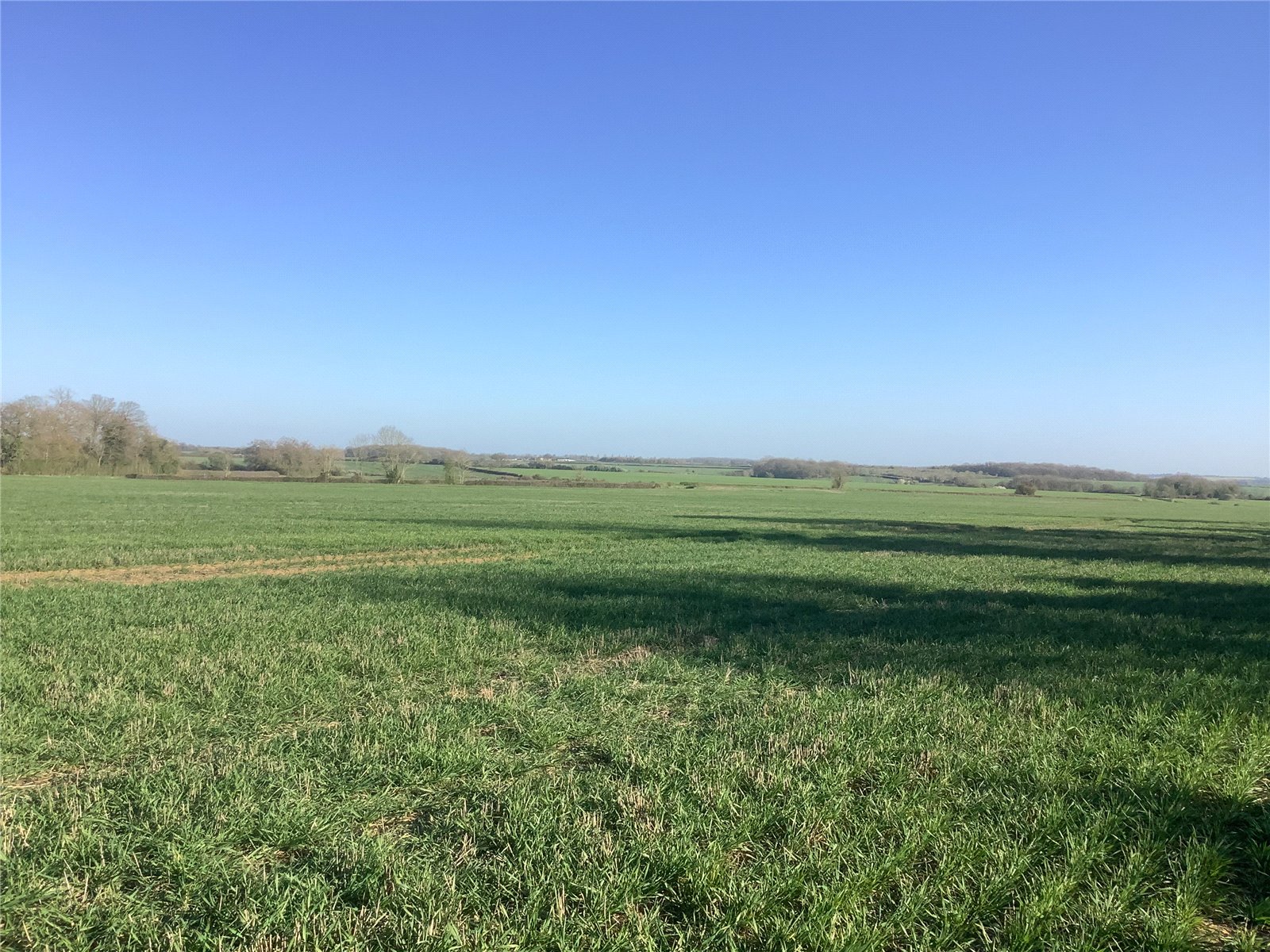 Land At Woodditton Road, Kirtling, Newmarket, Suffolk, CB8 9PG Property