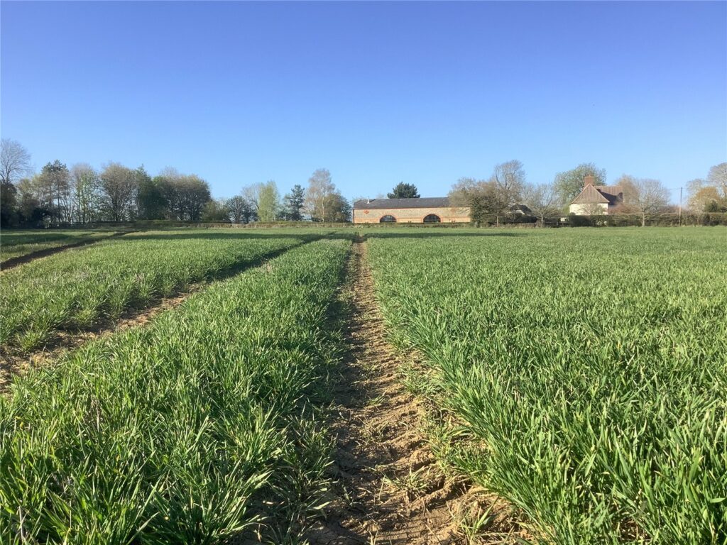 Land At Woodditton Road, Kirtling, Newmarket, Suffolk, CB8 9PG Property