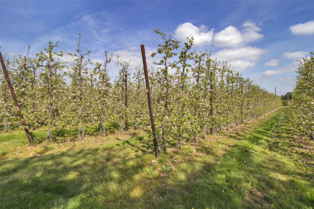 Milstead, Sittingbourne, Kent, ME9 0SE Property