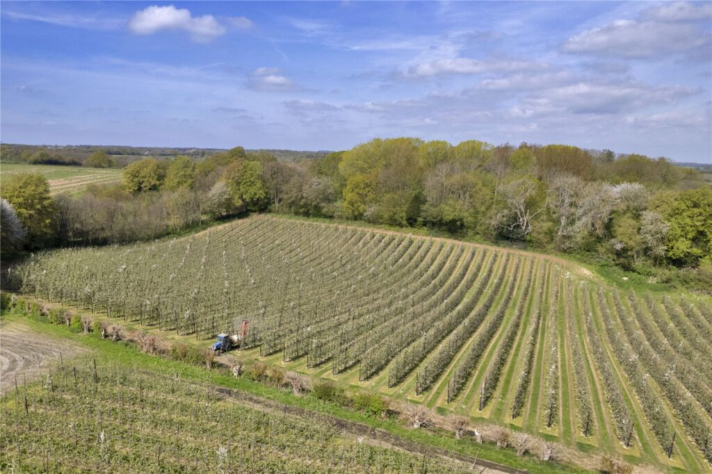 Milstead, Sittingbourne, Kent, ME9 0SE Property