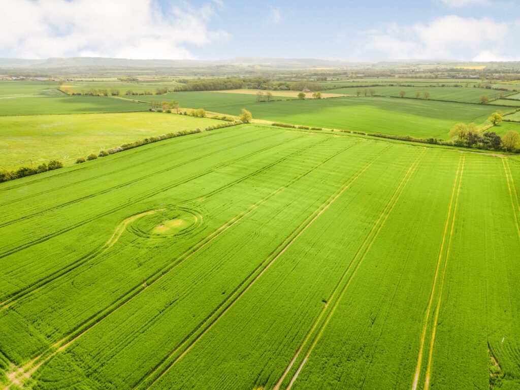 Darlington Road, Hutton Bonville, Northallerton, North Yorkshire Property