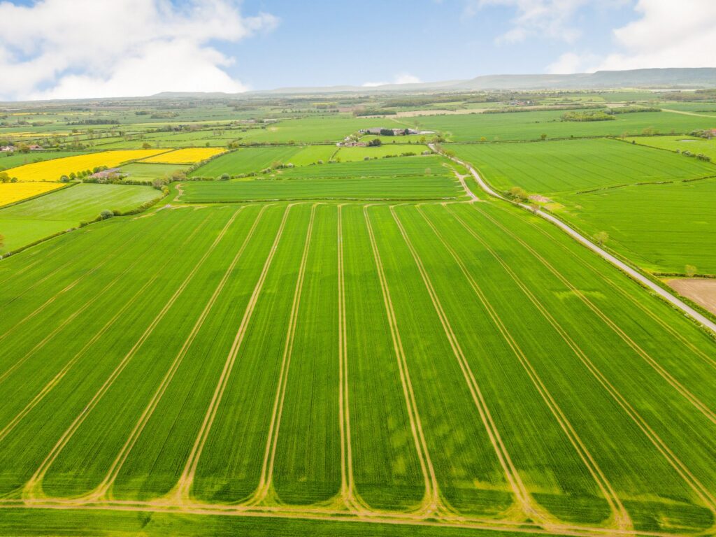 Darlington Road, Hutton Bonville, Northallerton, North Yorkshire Property