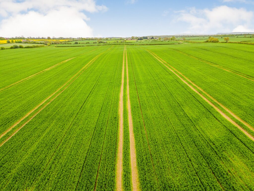 Darlington Road, Hutton Bonville, Northallerton, North Yorkshire Property