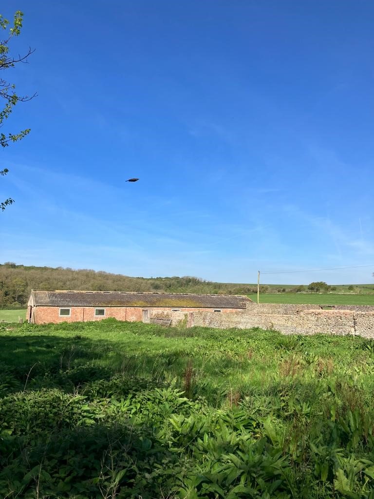 Road, Seaford Property