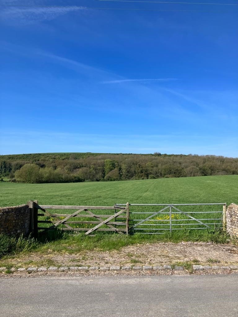 Road, Seaford Property
