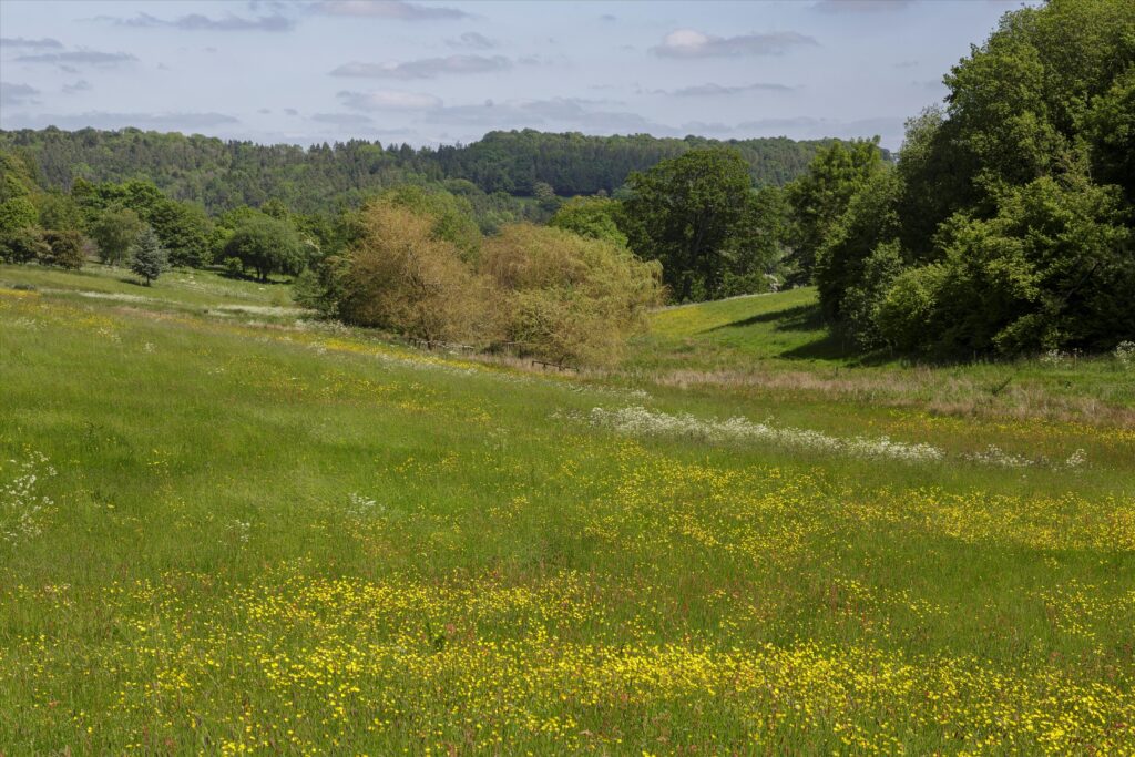 Bisley, Nr Stroud, Stroud, Gloucestershire, GL6 Property