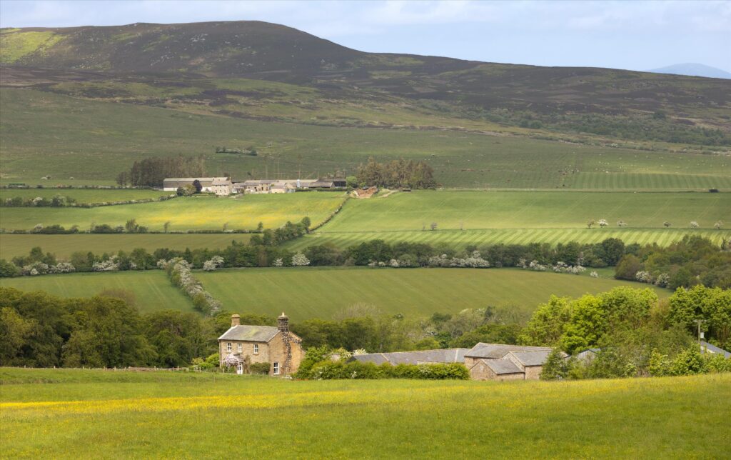 The Rothbury Estate, Northumberland, NE65 Property