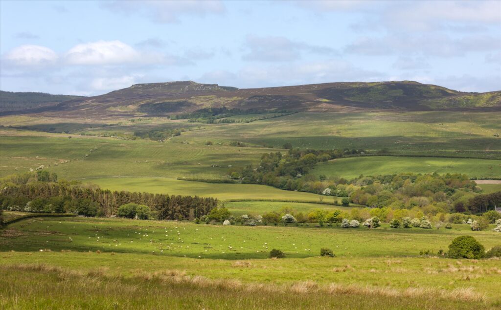 The Rothbury Estate, Northumberland, NE65 Property