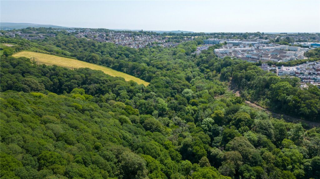Woodland West Of Roborough, Tamerton Foliot, Plymouth, PL5 4LF Property