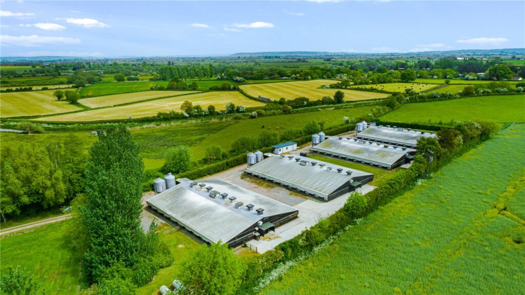 North Newton Poultry Farm, Church Road, North Newton, Bridgwater, TA7 0BG Property