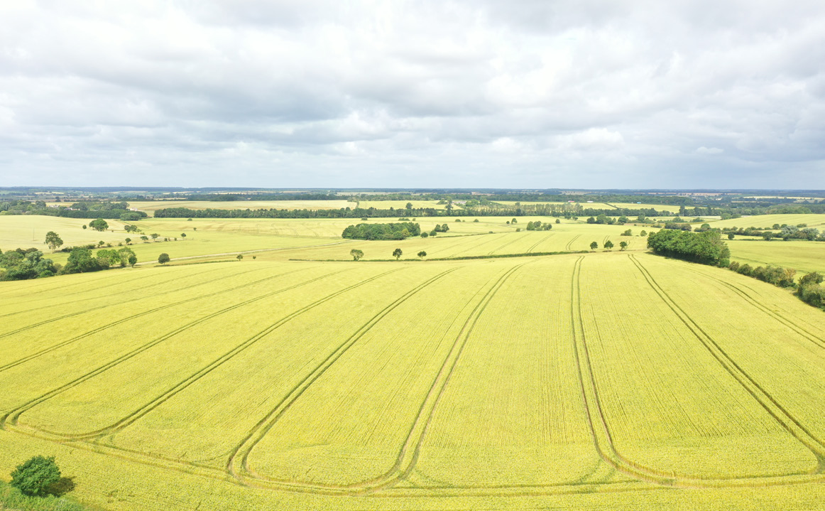 land-at-lower-farm-property