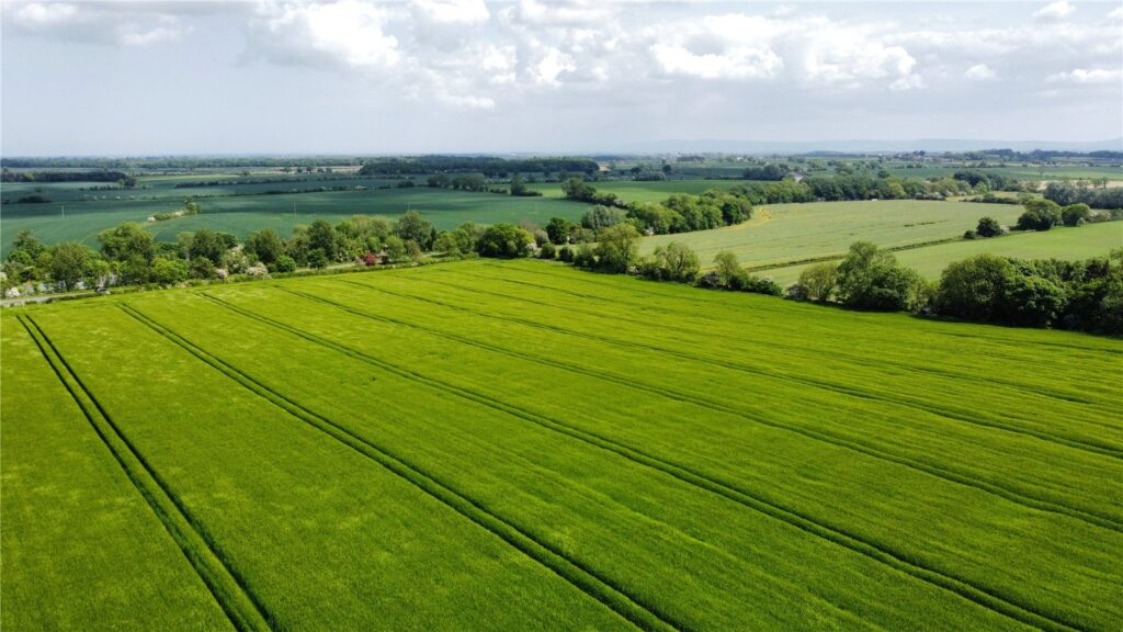 Dalton on Tees, Darlington, County Durham, DL2 2PB Property