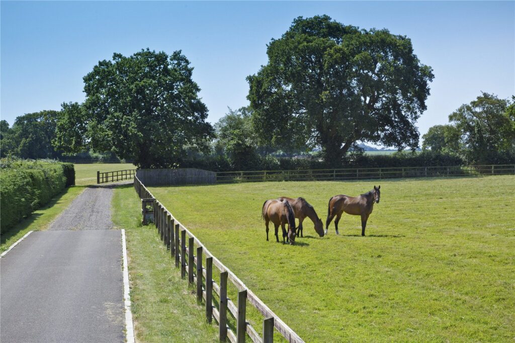 Gazeley Stud, Gazeley, Newmarket, Suffolk, CB8 8RA Property