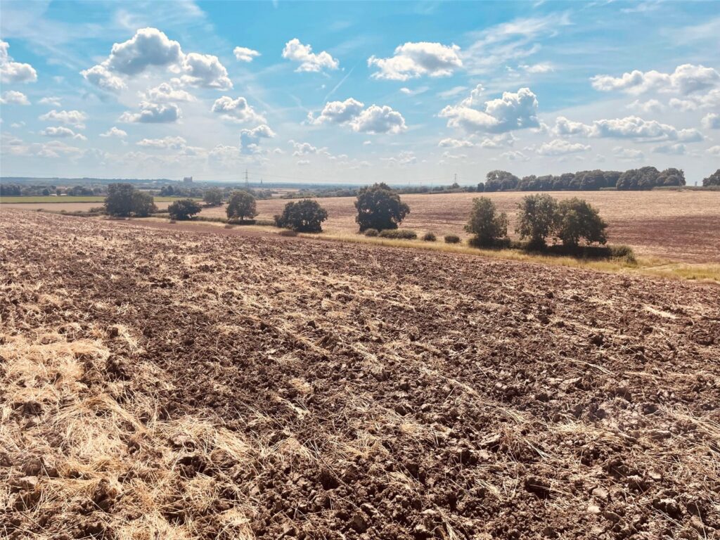 Land At Little Carlton, Ollerton Road, Little Carlton, Newark, NG23 6BX