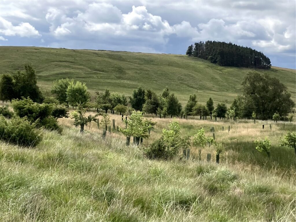 Land At Girsonfield, Otterburn, Newcastle upon Tyne, Northumberland