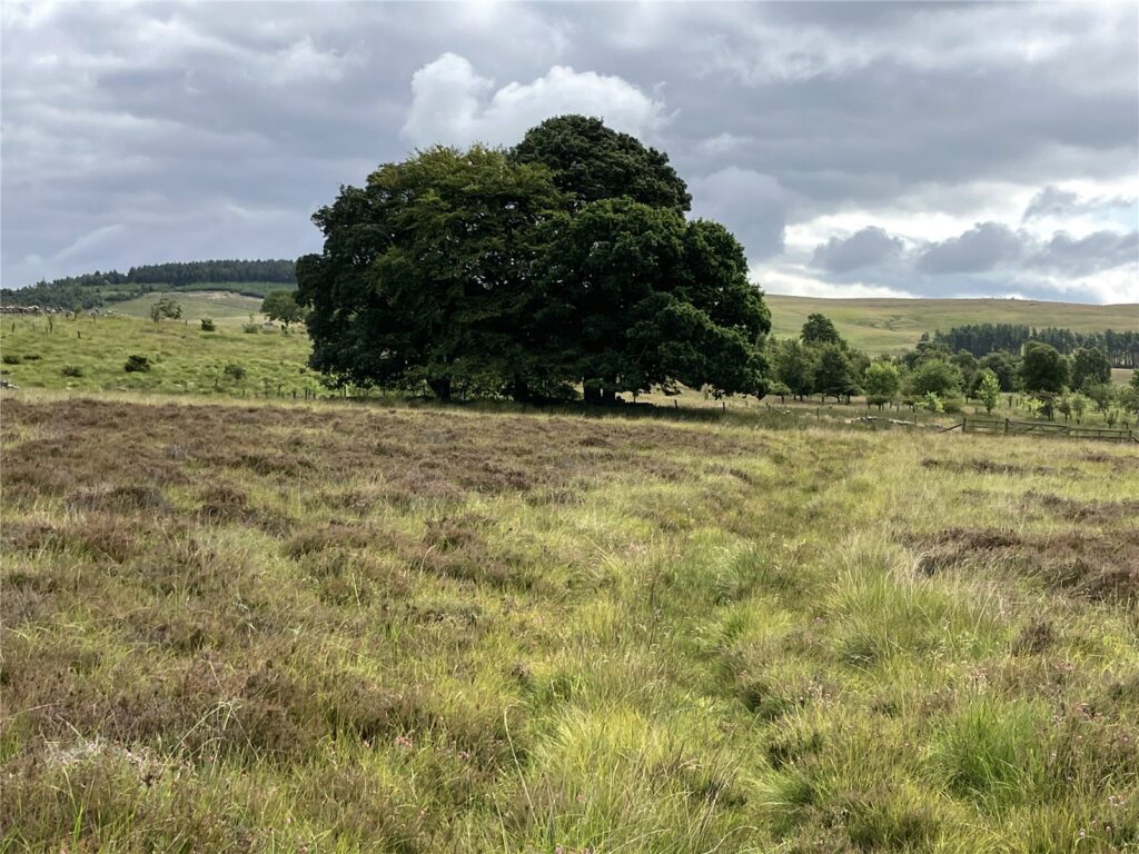 Land At Girsonfield, Otterburn, Newcastle upon Tyne, Northumberland