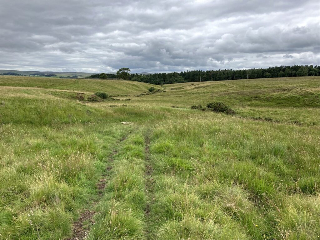Land At Girsonfield, Otterburn, Newcastle upon Tyne, Northumberland
