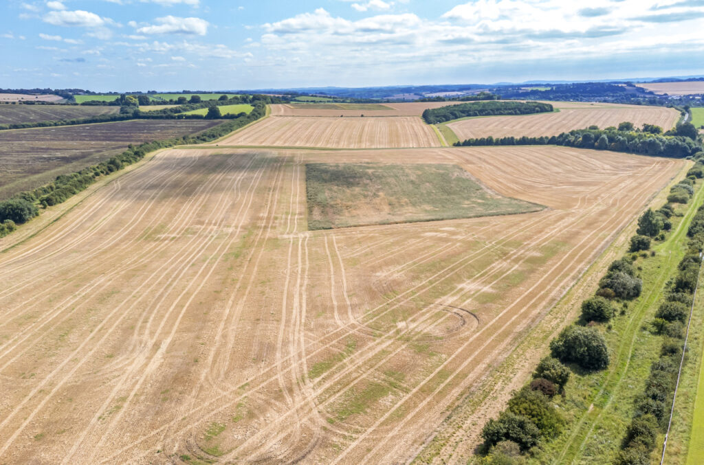 For Sale Downland Arable Farm in Berkshire Property