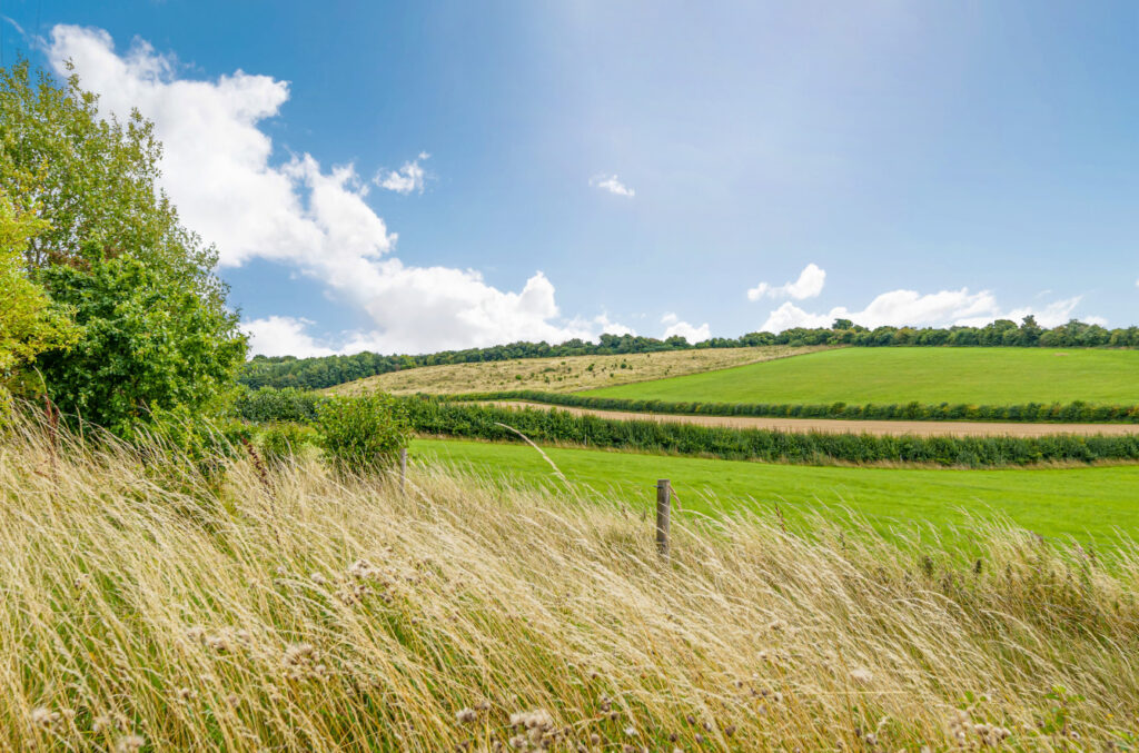 For Sale Downland Arable Farm in Berkshire Property