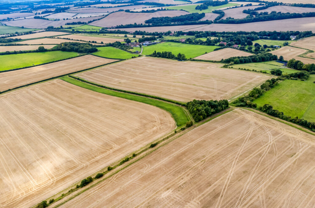 For Sale Downland Arable Farm in Berkshire Property