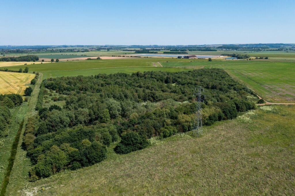 Cadney, Brigg Property