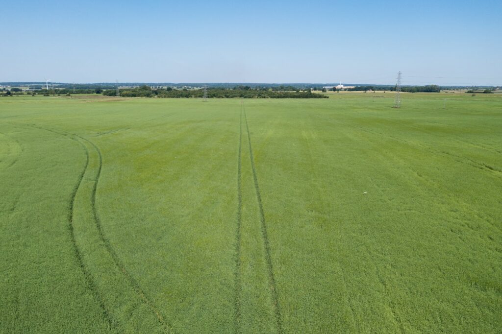 Cadney, Brigg Property