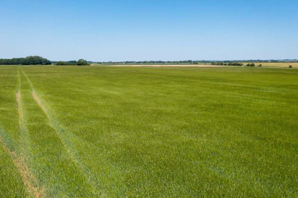 Cadney, Brigg Property