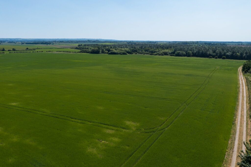 Cadney, Brigg Property