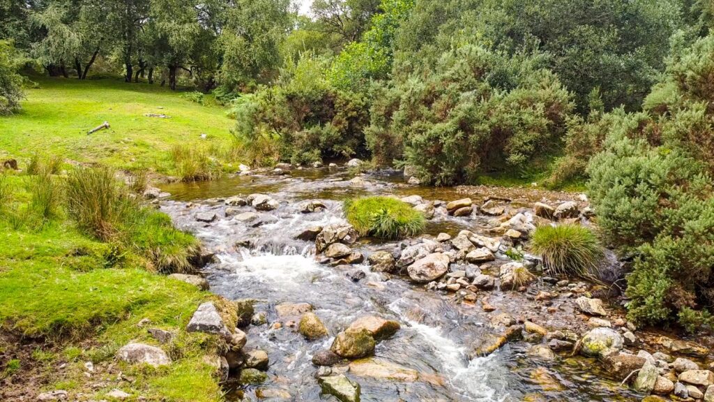 Buckfastleigh, Devon Property