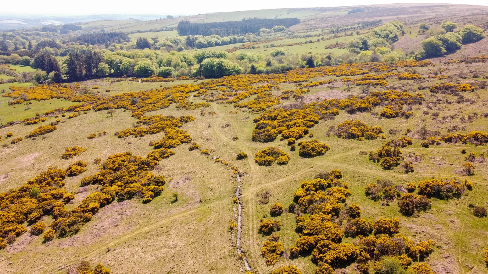 Buckfastleigh, Dartmoor National Park, Devon Property