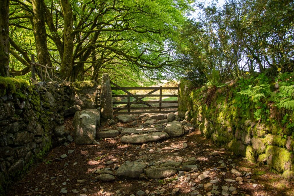 Buckfastleigh, Dartmoor National Park, Devon Property