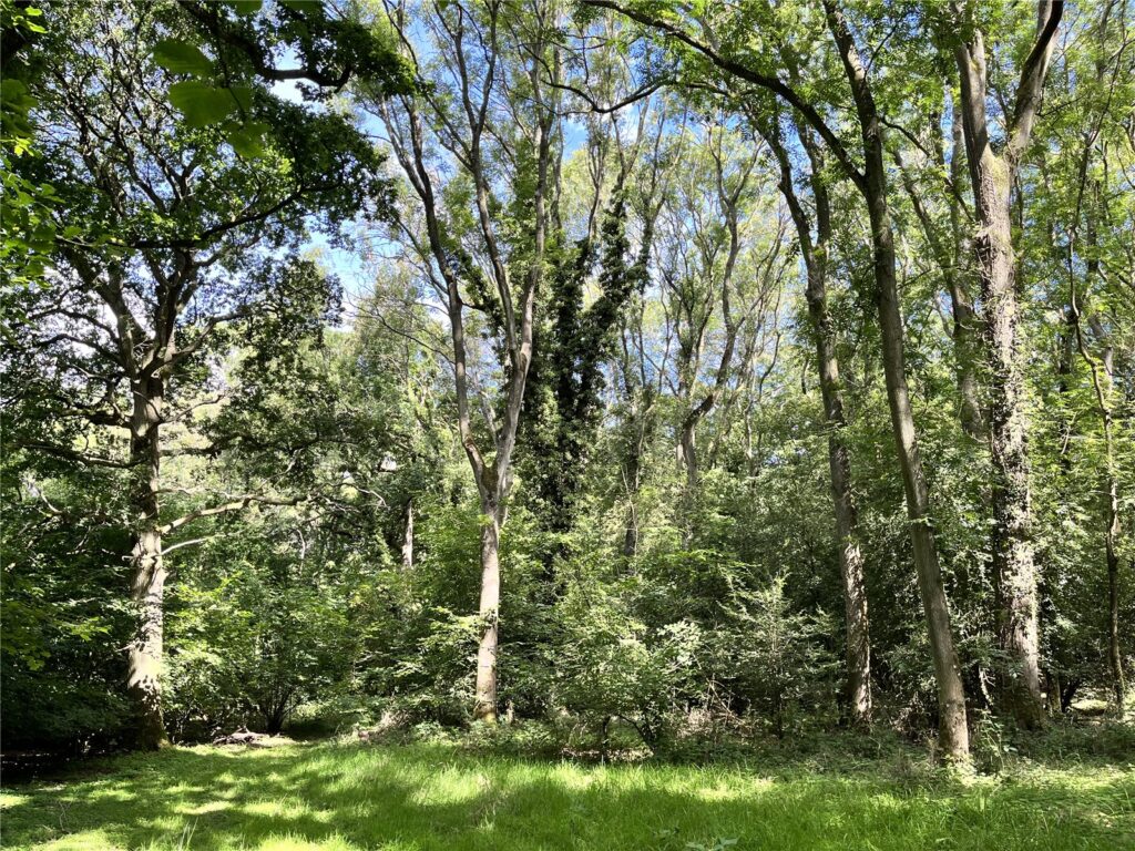 Land At Helmdon, Brackley, Northamptonshire, NN13 5QH Property