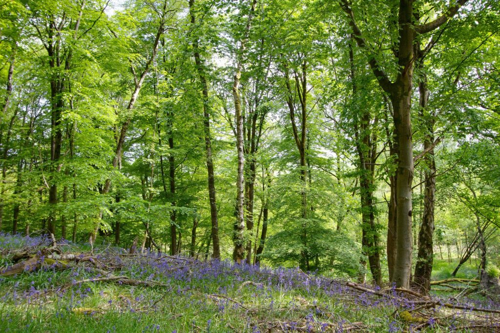 Lawkland, Austwick, North Yorkshire Property