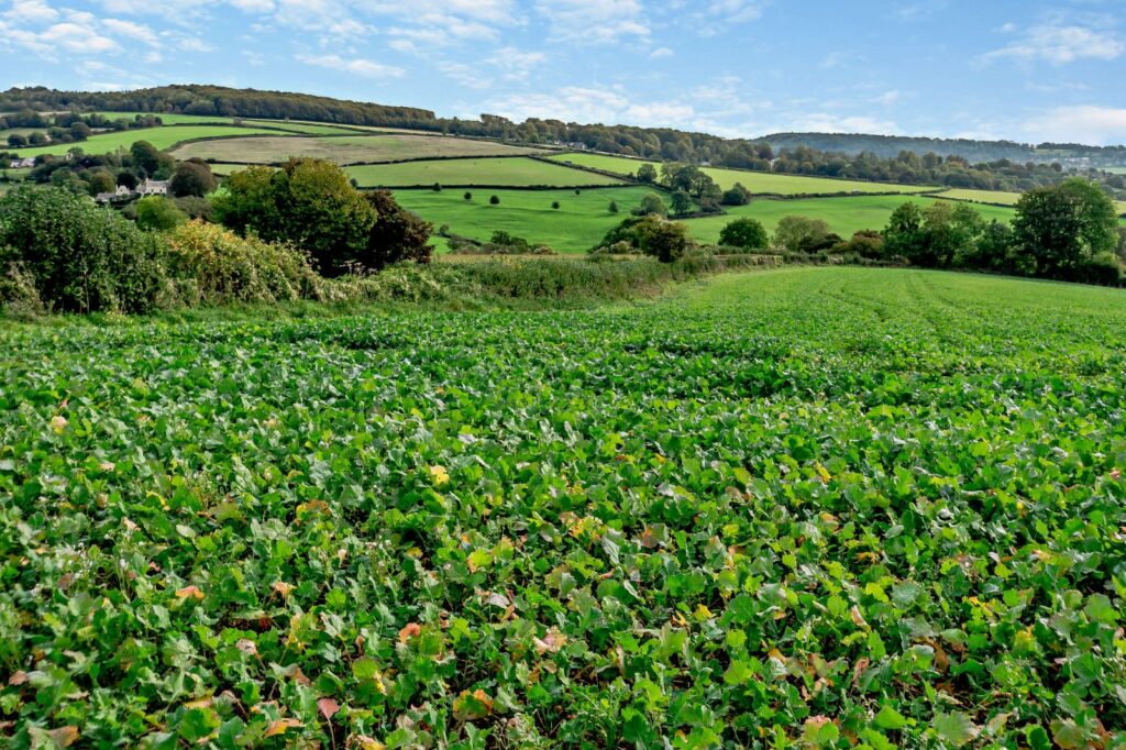 Edge, Painswick, Gloucestershire Property