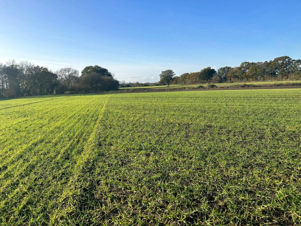 Land At North Scarle, North Scarle, Lincoln, Lincolnshire, LN6 9EZ