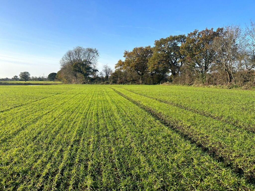 Land At North Scarle, North Scarle, Lincoln, Lincolnshire, LN6 9EZ