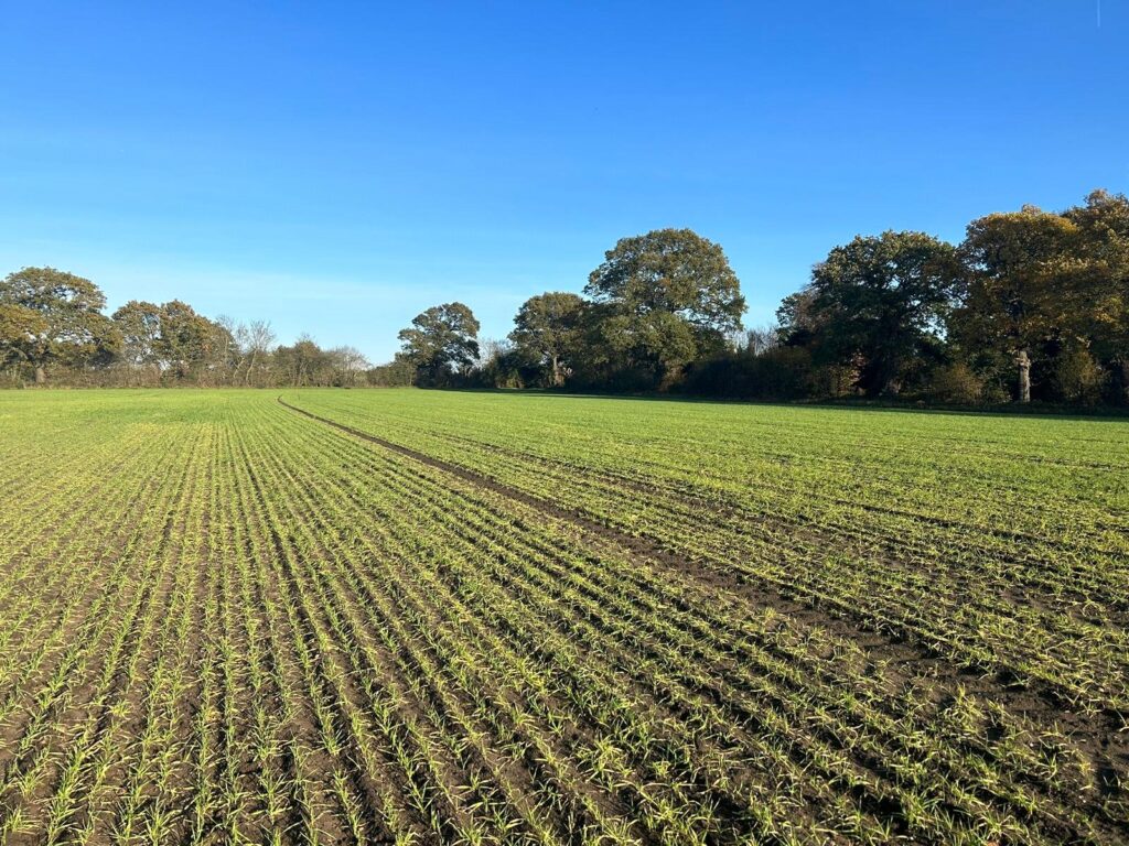 Land At North Scarle, North Scarle, Lincoln, Lincolnshire, LN6 9EZ