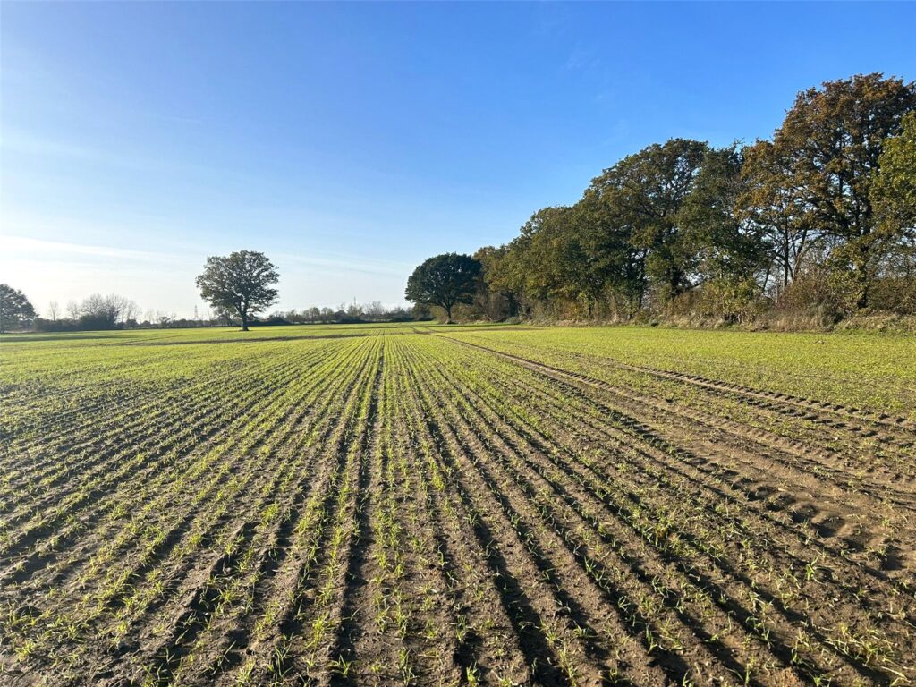 Land At North Scarle, North Scarle, Lincoln, Lincolnshire, LN6 9EZ