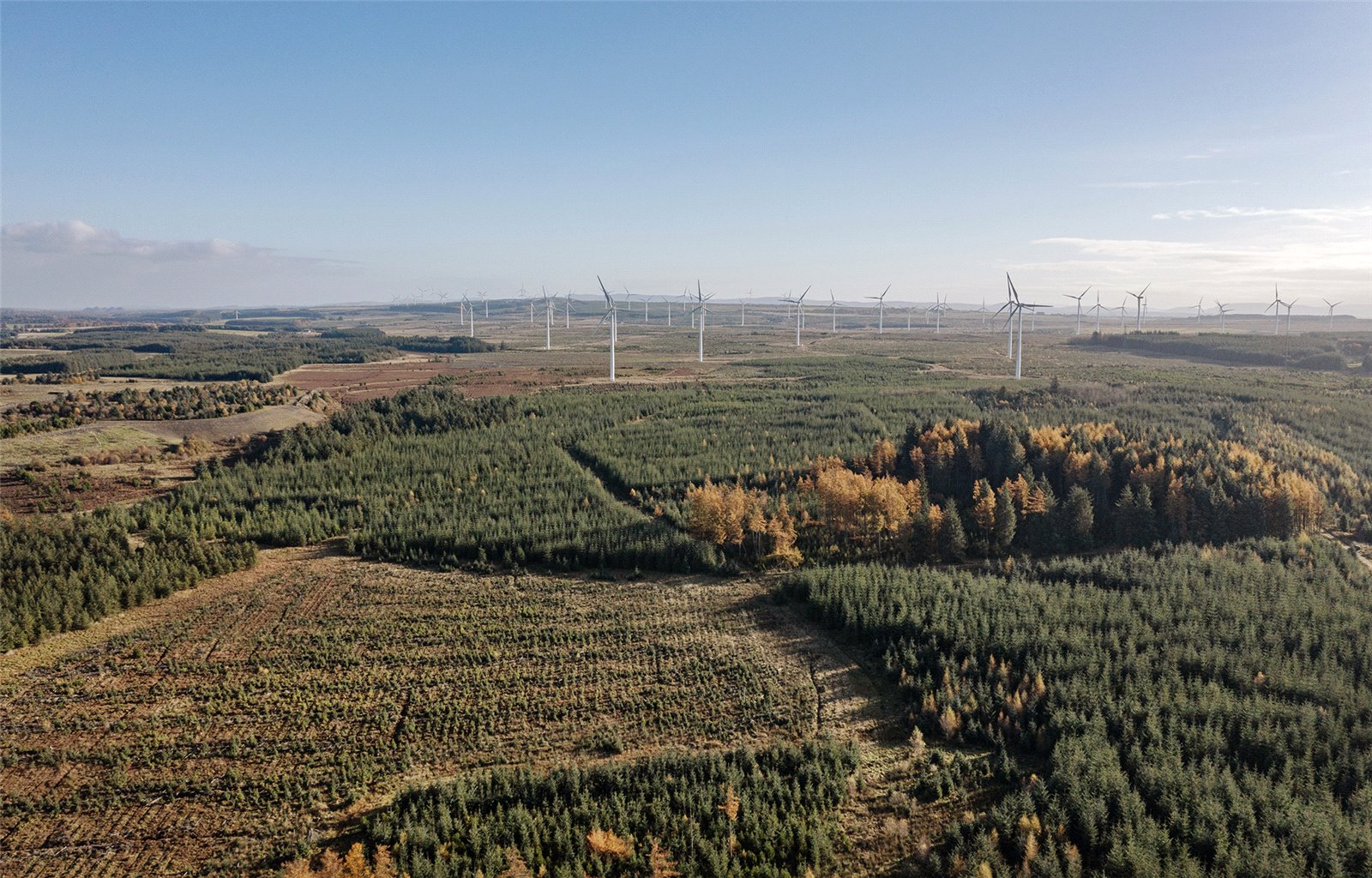 Dura Forest, Allanton, North Lanarkshire, ML2 9PJ Property