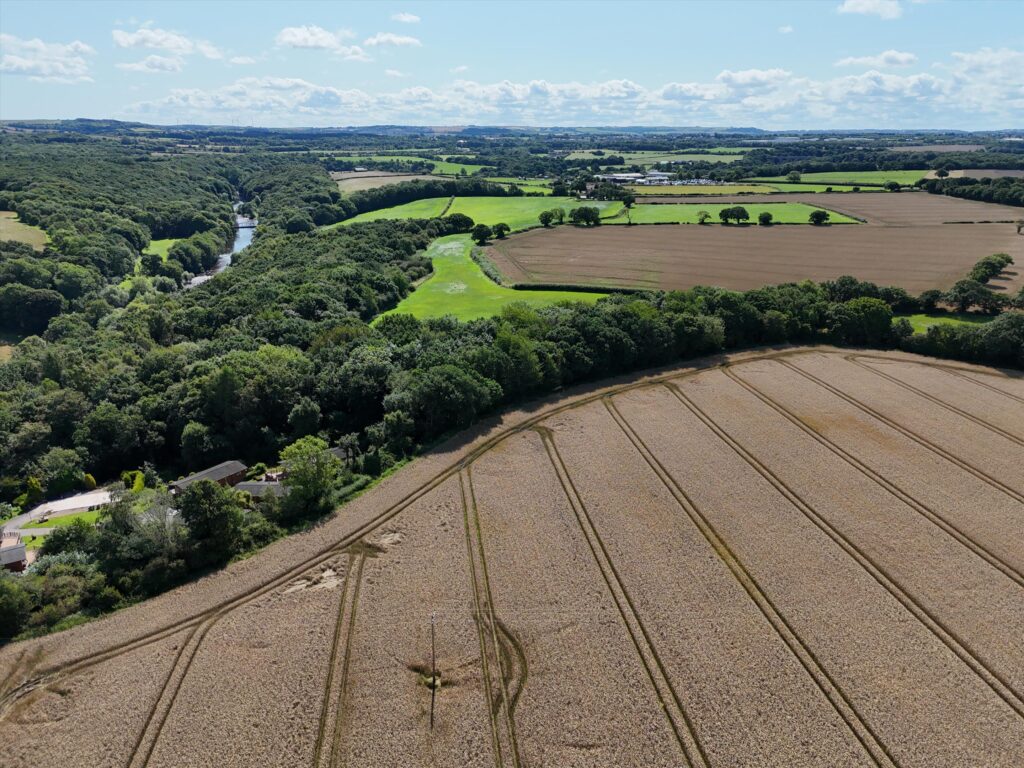 Durham, DH1 Property