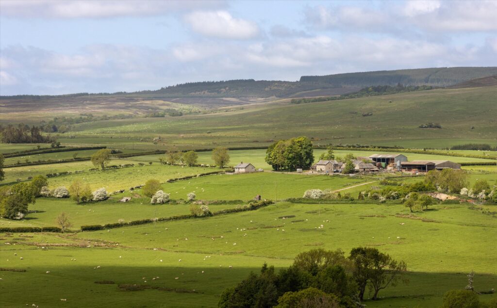 The Rothbury Estate, Northumberland, NE65 Property