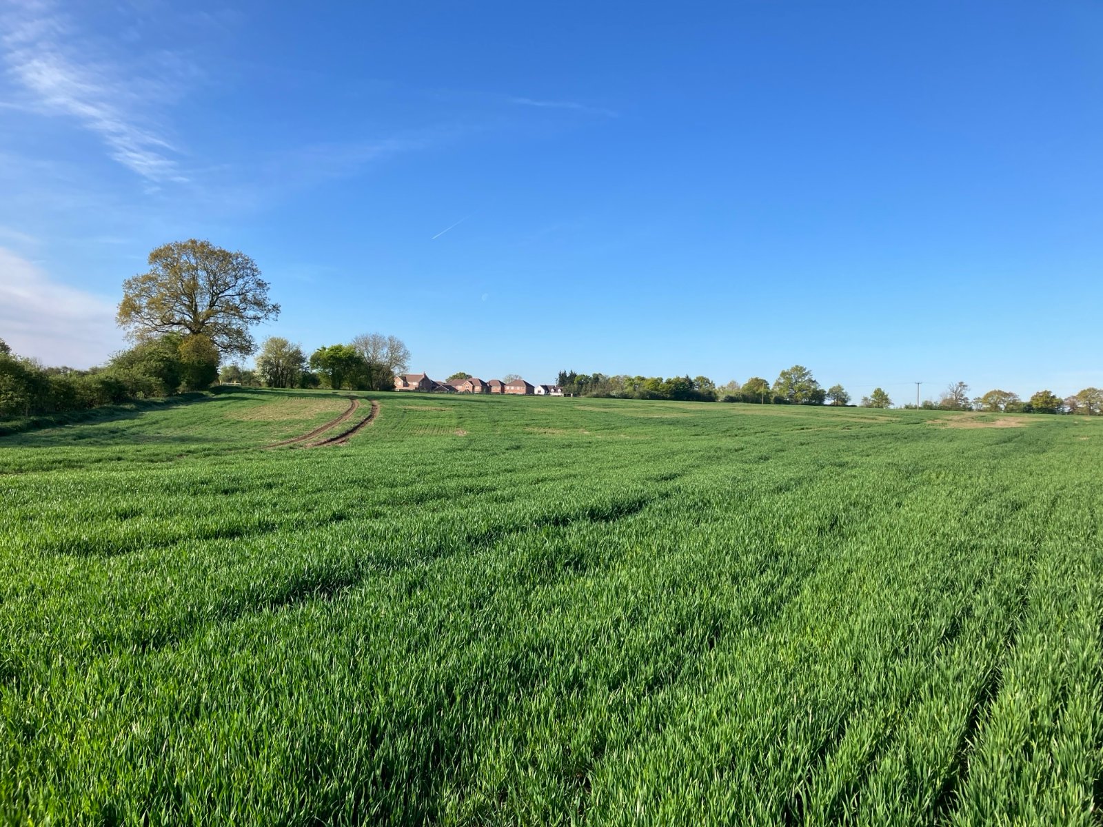 Norton Heath, Ingatestone, Essex Property