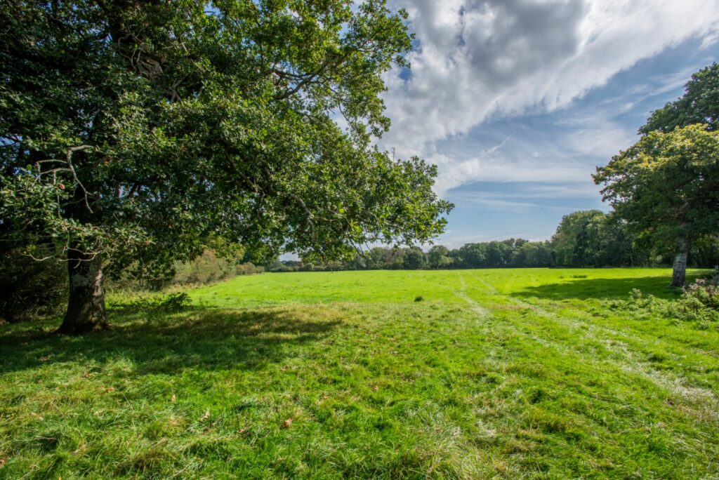 Hatherleigh, Okehampton, Devon Property